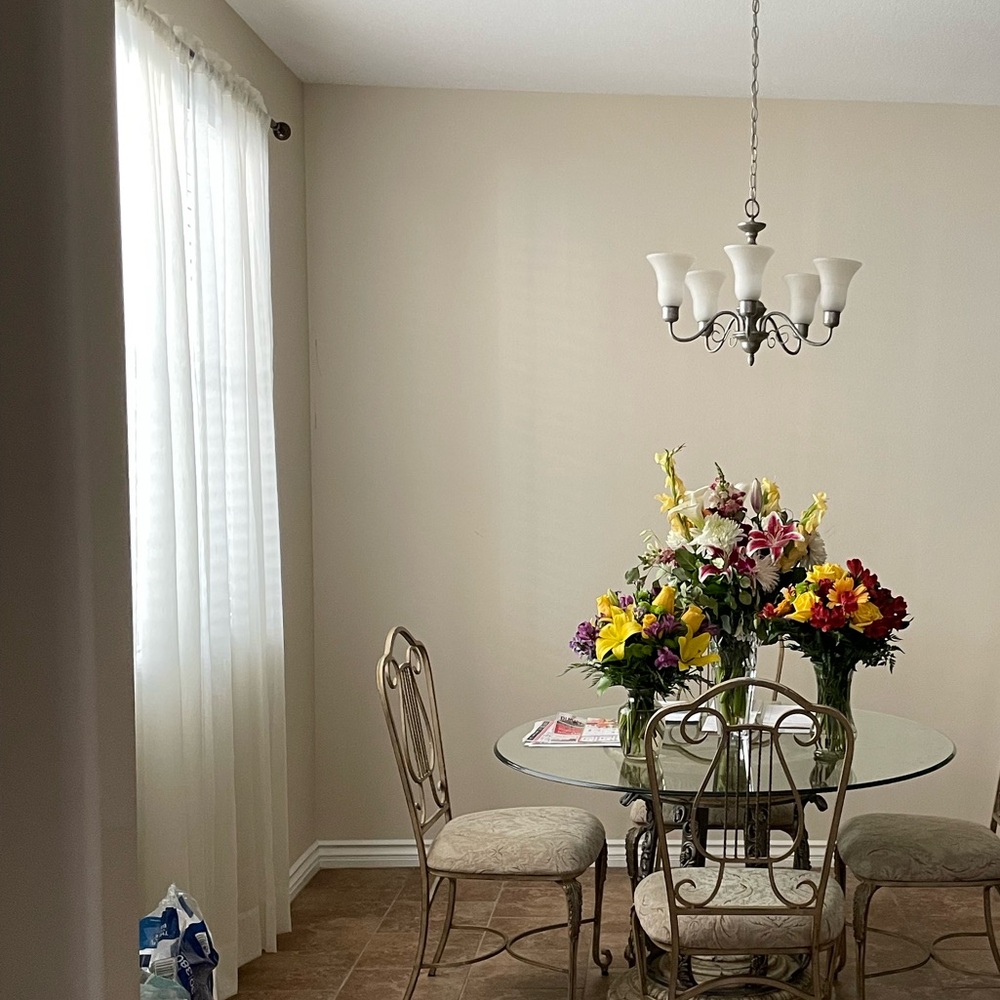 Cream colored sheer floor length curtains - Picture 1 of 3